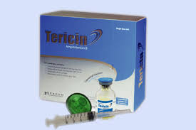 product name